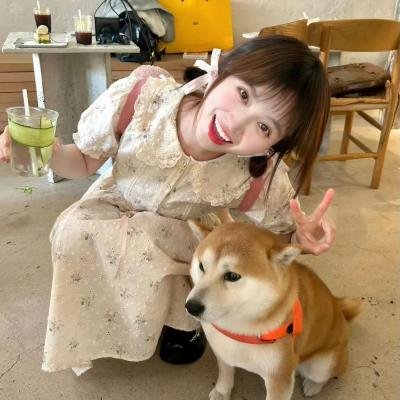 钢木兰
